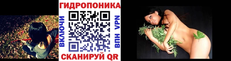 Канабис марихуана  купить наркотики сайты  Оха 